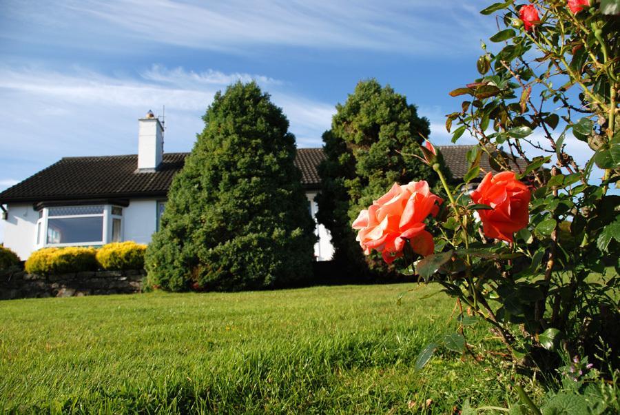 Castle View B&B Freshford エクステリア 写真
